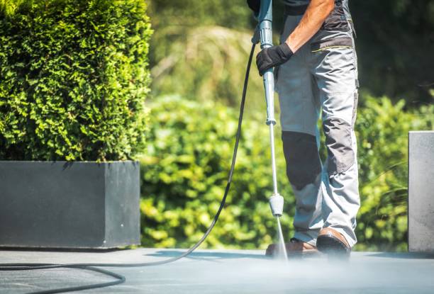 Best Gutter Cleaning  in Longwood, FL
